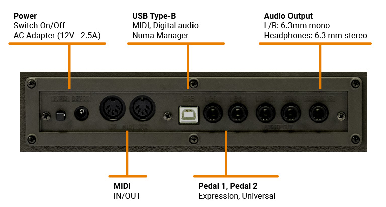 back connections